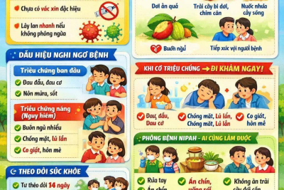 TUYÊN TRUYỀN PHÒNG, CHỐNG BỆNH DO VIRUS NIPAH Chung tay bảo vệ sức khỏe cộng đồng