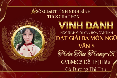 TUYÊN DƯƠNG THÀNH TÍCH THẦY VÀ TRÒ TRONG KỲ THI HỌC SINH GIỎI CẤP TỈNH
